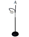 Double-Arm Magnifying Floor Lamp